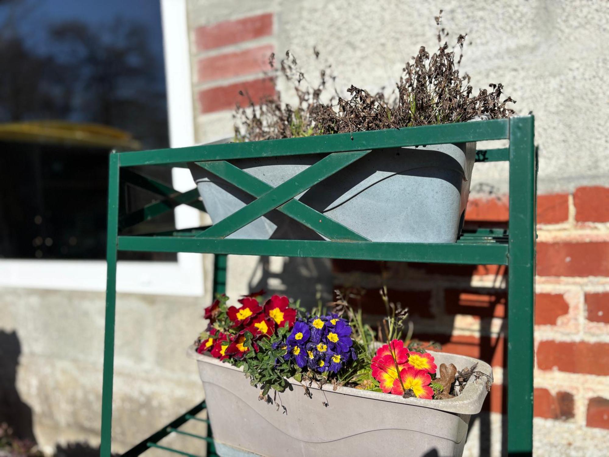 Maison De Campagne Lumineuse Spacieuse Dans Impasse Au Calme A Proximite D'Un Chateau Deux Verandas Grand Jardin Cabane Pour Velos, Pres Port En Bessin Et Bayeux, Proche Plages Du Debarquement Commes Exteriör bild